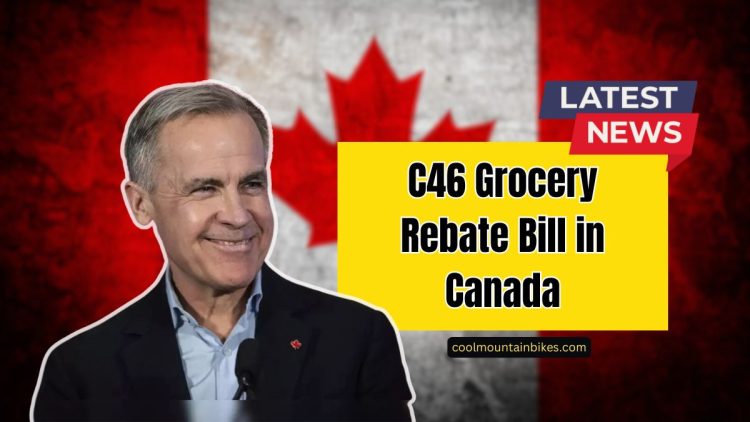 C46 Grocery Rebate Bill in Canada- Latest Updates On Eligibility And Refund Payments